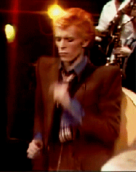giphy-Bowie.gif